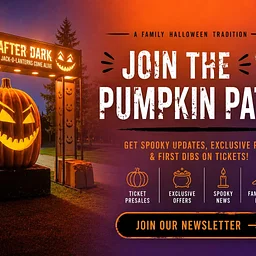 Pumpkins After Dark