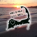 Who Could Love Them logo