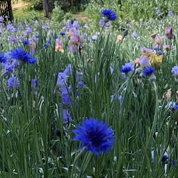 Post-Harvest…Now What? with Helen Phillips