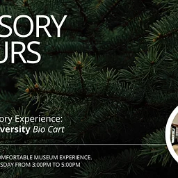 Sensory Hours | Pine Trees, Biodiversity Cart