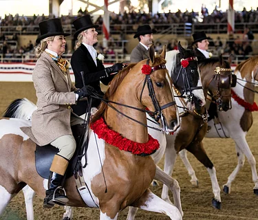 Equestfest
