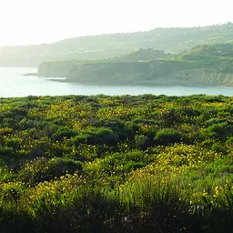 Nature Walk at Portuguese Bend Reserve