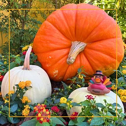 Thanksgiving at The Gardens of Avila Restaurant