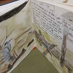 August Nature Journaling