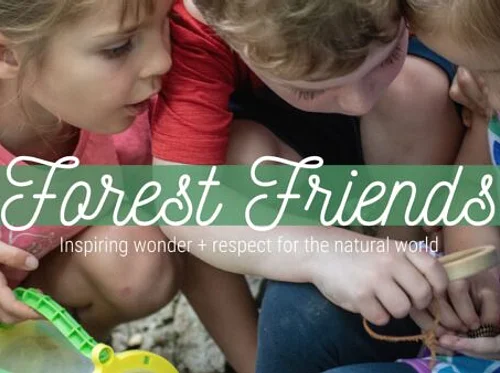 Little Forest Friends
