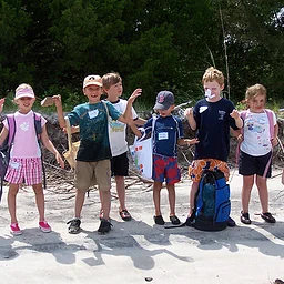 Seashore Life I