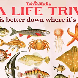 Trivia Mafia Theme Night: SEA LIFE