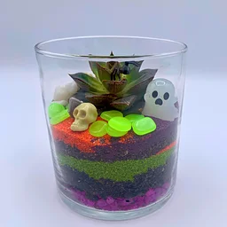 Pop-up at The Neighborhood: Cemeterrariums