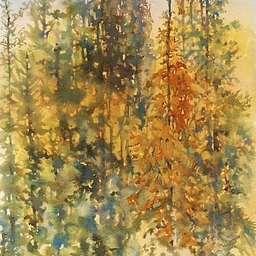 Macia Mason – A Painter’s Life in Provence