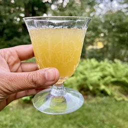 [VIRTUAL] Farmers' Gatorade: Herbal Hydration
