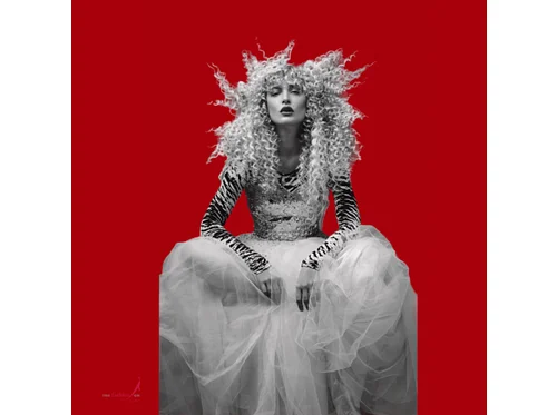 Met Gala Watch Party: The Art of Style