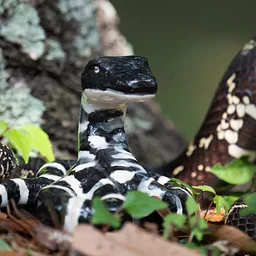 Art Animals: Snakes