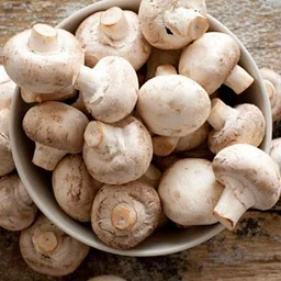 National Mushroom Day