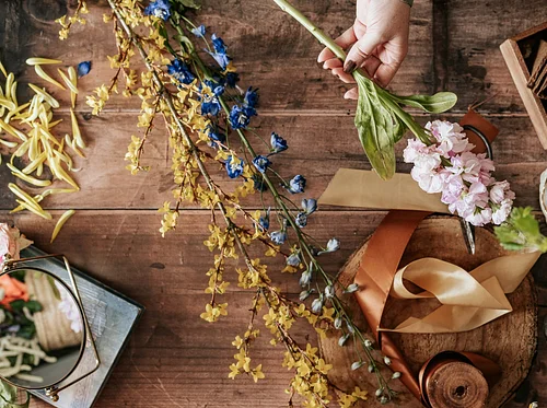 SheHive815 Yoga, Charcuterie, + Flower Arranging