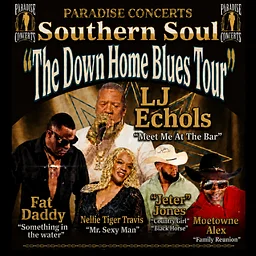 The Down Home Blues Tour