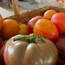 Heirloom Vegetable (Walk & Talk)