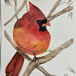 Christmas Card Watercolor Workshop, Friday, December 4th at 4 pm
