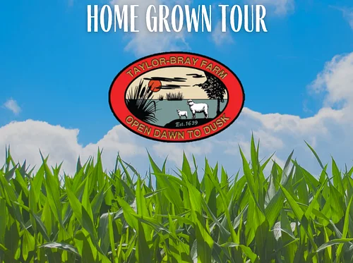 Home Grown Tour: Guided Tour of Taylor Bray Farm