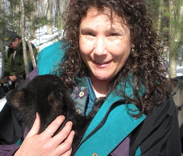 Wildlife in our young forests