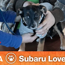 Community Pet Health Fair and Clinic