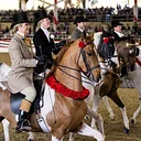 Equestfest