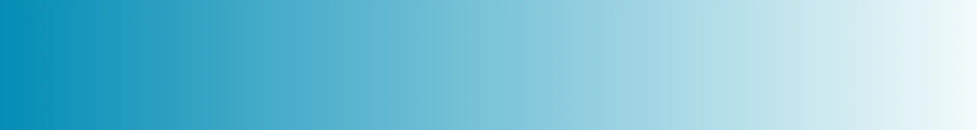 Ilan-Lael Foundation