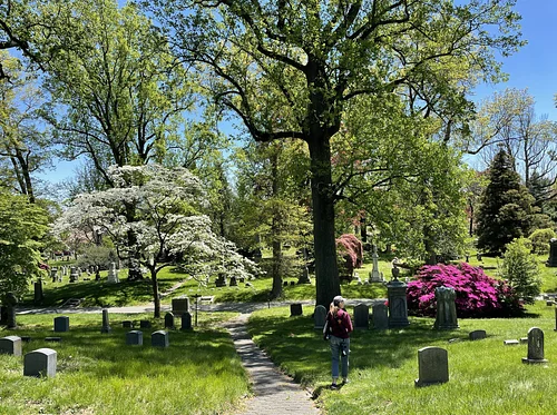 Grave Beginnings: Walking Green-Wood 