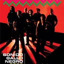 SONIDO GALLO NEGRO with Rudy De Anda