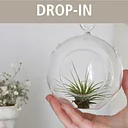 Air Plant Homes Drop-In