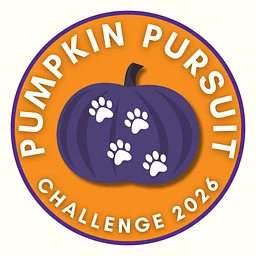 Pumpkin Pursuit