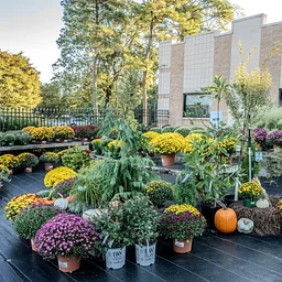 Fall Plant Sale 2026 EXTENDED