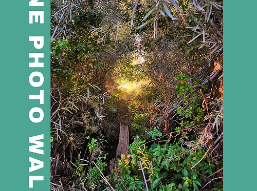 June Photo Walk w/ Alisha Funkhouser