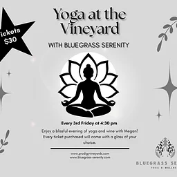 Wellness at the Vineyard