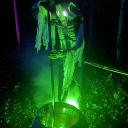 CFT’s Fright Night Haunted Forest 2027 – Day 3