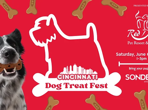 MASON Dog Treat Festival