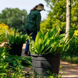 Big Lake Native Plant Trail Restoration Project