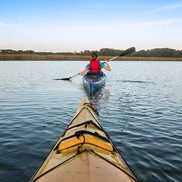 Kayak Tour