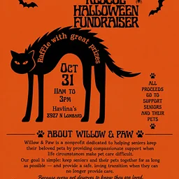Willow & Paw Animal Rescue Halloween Party