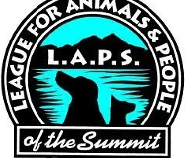 laps Funraiser