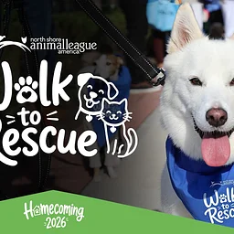 Walk to Rescue 2026
