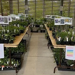 Partner Event: CPS Fall Native Plant Sale