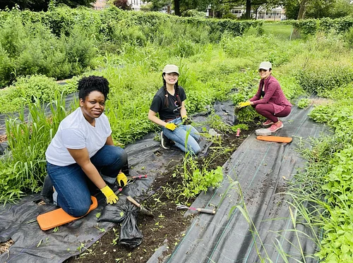 Farm Community Volunteer Days