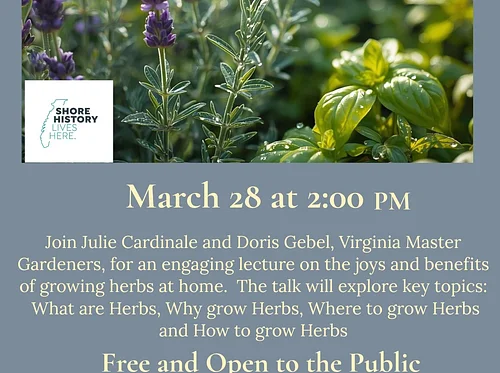 Growing an Herb Garden for Health, Happiness & Habitat