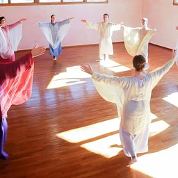 2026 Pedagogical Eurythmy Refresher Courses