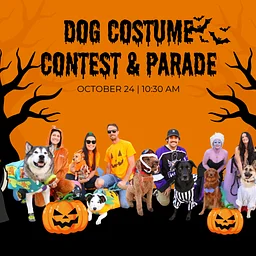 Halloweenie Dog Parade