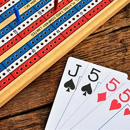 Cribbage Tourney!