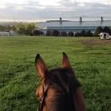 Virginia Horse Center