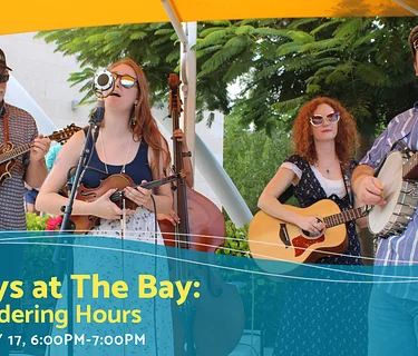 Sundays at The Bay featuring The Wandering Hours