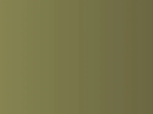 Pricketts Fort’s School of the Longhunter