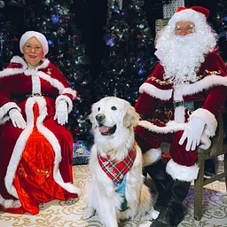 Pictures With Santa